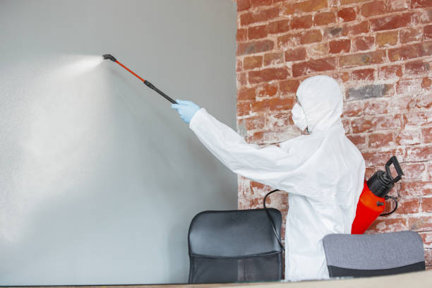 Dehumidification Services in Yonkers, NY