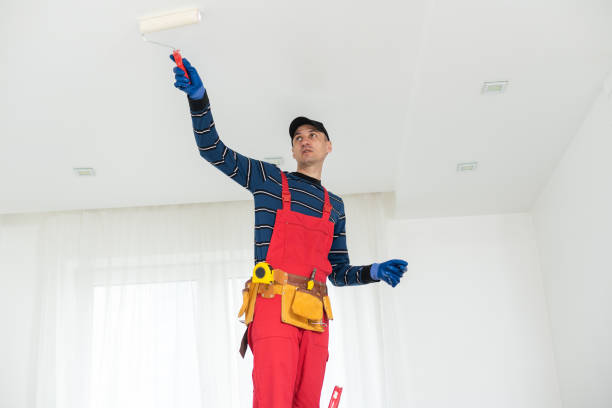 Yonkers, NY Mold Removal Company
